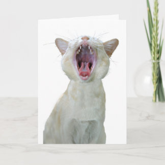 Birmese verjaardagskaart voor katten kaart