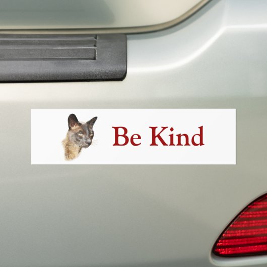 Birmese, wees Bumpersticker (Op auto)