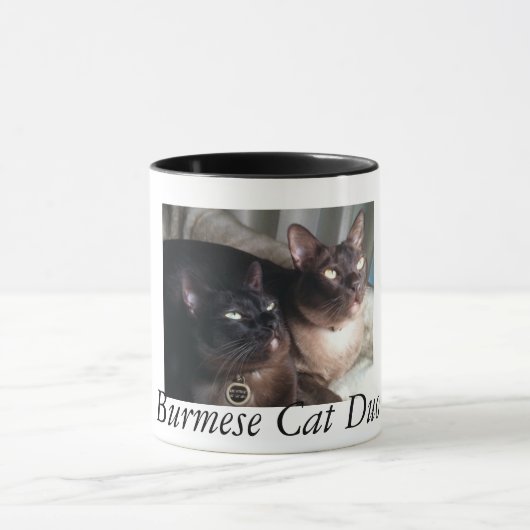 BirmeseDuo_18, Birmese kat Duo Mok (Midden)