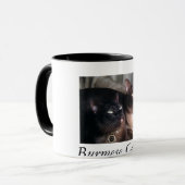 BirmeseDuo_18, Birmese kat Duo Mok (Voorkant links)