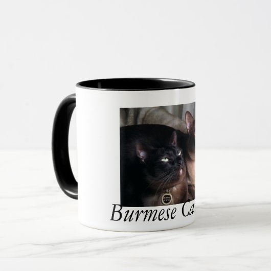 BirmeseDuo_18, Birmese kat Duo Mok (Voorkant links)