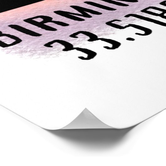 Birmingham AL City Skyline Poster (Hoek)