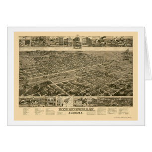 Birmingham, AL Panoramic Map - 1885