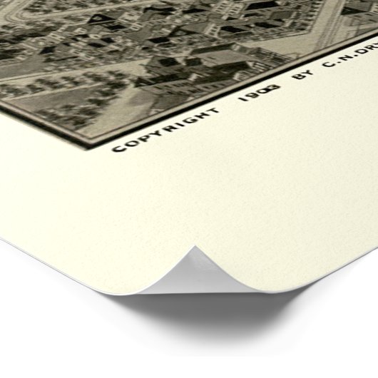 Birmingham, AL Panoramic Map - 1903 Poster (Hoek)