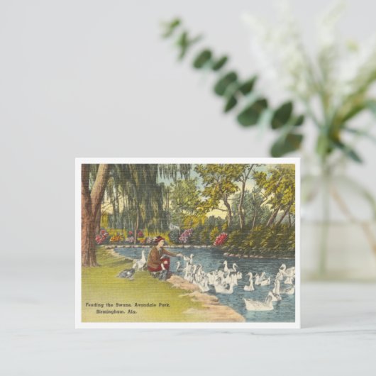 Birmingham Alabama Avondale Park Briefkaart (Staand voorkant)