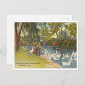 Birmingham Alabama  Avondale Park Briefkaart (Voorkant / Achterkant)