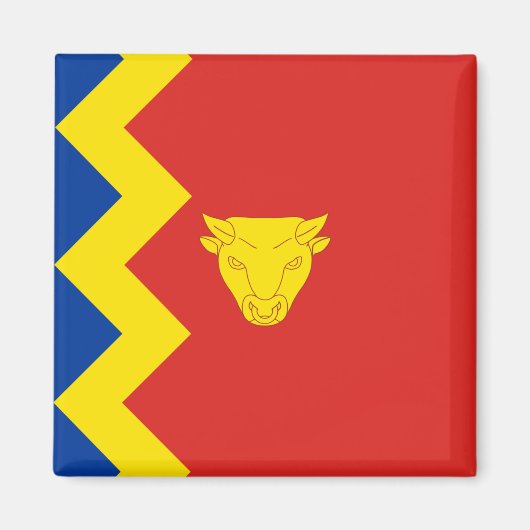 Birmingham City Flag Magneet (Voorkant)