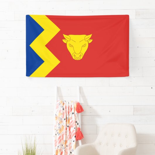 Birmingham City Flag Spandoek (Insitu)