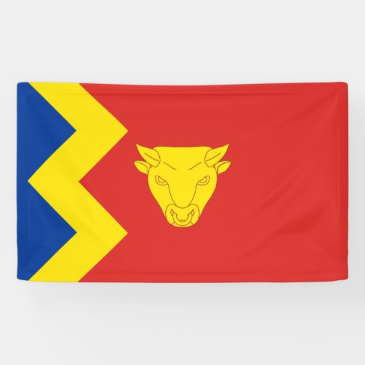 Birmingham City Flag Spandoek (Horizontaal)