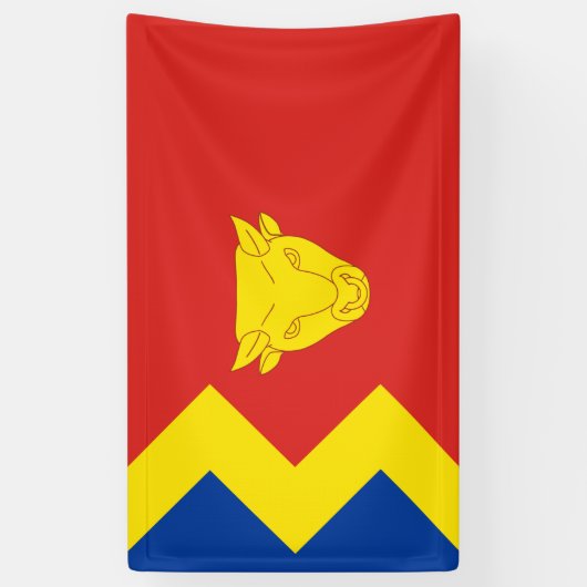 Birmingham City Flag Spandoek (Verticaal)