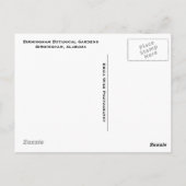 Birmingham Lily Pond Briefkaart (Achterkant)