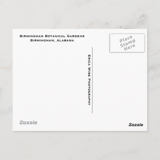 Birmingham Lily Pond Briefkaart (Achterkant)