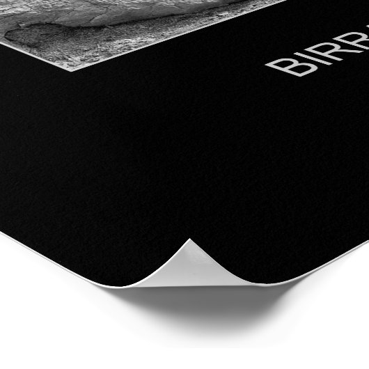 BIRRA MORETTI, VENICE, ITALIË POSTER (Hoek)