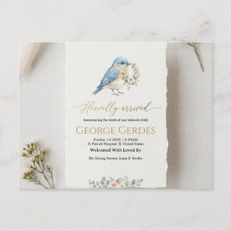 Birth Announcement Postcard Aankondigingskaart