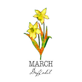 Birth Month Flower March Daffodil Kussen