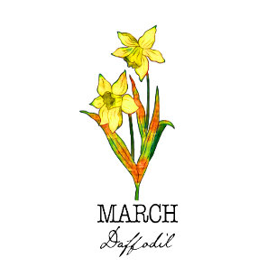 Birth Month Flower March Daffodil Kussen