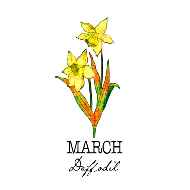 Birth Month Flower March Daffodil Kussen (Creator heeft geüpload)