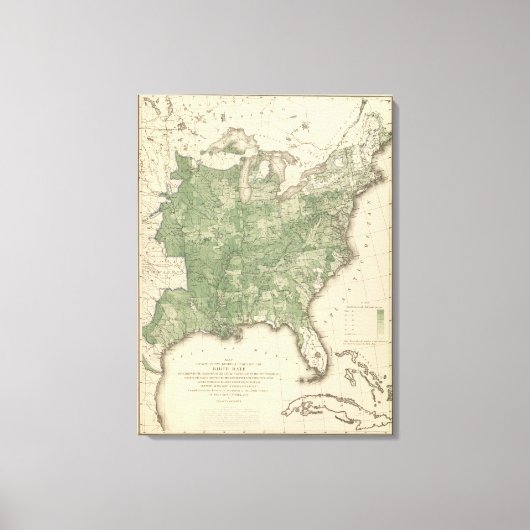 Birth Rate US, Statistical US Lithografie Canvas Afdruk (Voorkant)