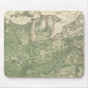 Birth Rate US, Statistical US Lithografie Muismat