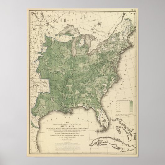 Birth Rate US, Statistical US Lithografie Poster (Voorkant)