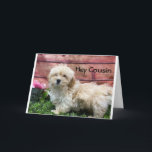 BIRTHDAG WISH "COUSIN" & "BEST FRIEND" KAART<br><div class="desc">BEDANKT VOOR EEN VAN MIJN ACHT STORES. JE COUSIN ZAL ERVAN VINDEN DAT DEZE SPECIALE KAART VOOR HEM OF HAAR ZAL ZIJN!!!</div>