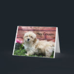 BIRTHDAG WISH "COUSIN" & "BEST FRIEND" KAART<br><div class="desc">BEDANKT VOOR EEN VAN MIJN ACHT STORES. JE COUSIN ZAL ERVAN VINDEN DAT DEZE SPECIALE KAART VOOR HEM OF HAAR ZAL ZIJN!!!</div>