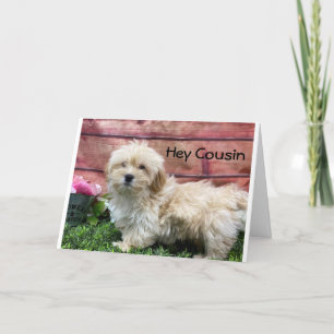 BIRTHDAG WISH "COUSIN" & "BEST FRIEND" KAART