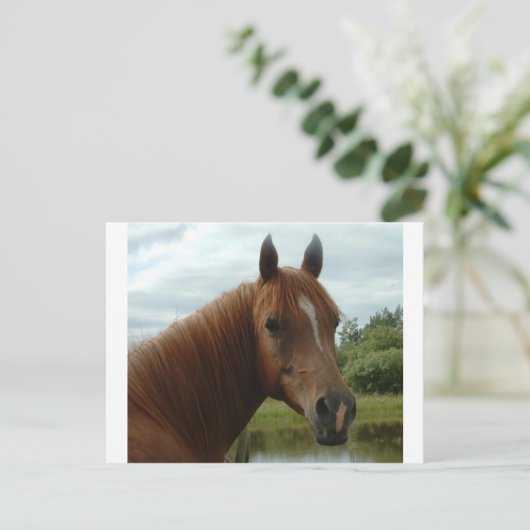 Birthday 12 briefkaart (Staand voorkant)