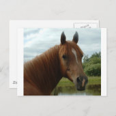 Birthday 12 briefkaart (Voorkant / Achterkant)