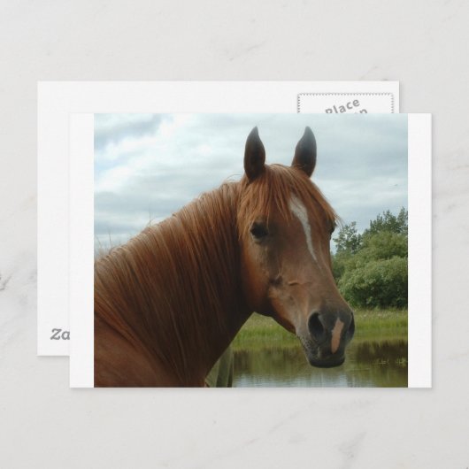 Birthday 12 briefkaart (Voorkant / Achterkant)