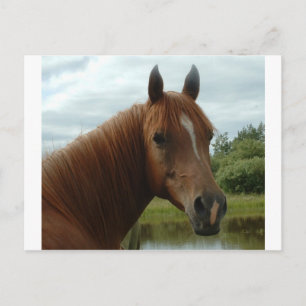 Birthday 12 briefkaart