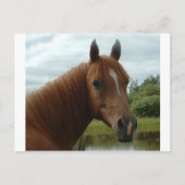 Birthday 12 briefkaart (Voorkant)