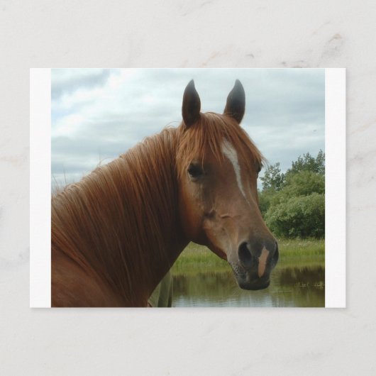 Birthday 12 briefkaart (Voorkant)