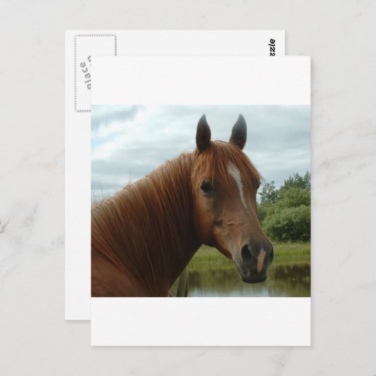 Birthday 12 briefkaart (Voorkant / Achterkant)