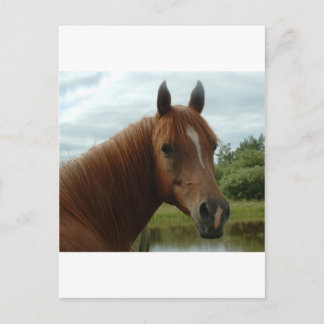 Birthday 12 briefkaart