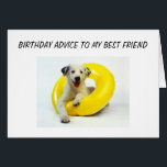 BIRTHDAY ADVICE BEST FRIEND<br><div class="desc">Ik hou van deze rij kaarten,  en ik hoop dat u dat ook doet! Wat een leuke manier om te zeggen: "HAPPY BIRTHDAY BEST FRIEND"</div>