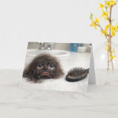 Birthday Baldness Humor Kaart (Gele Bloem)