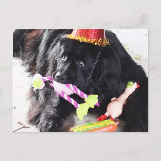 Birthday Beer Briefkaart (Voorkant)