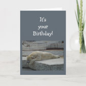 Birthday Blahs Fun Age Humor Polar Beer Animal Kaart (Voorkant)