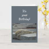 Birthday Blahs Fun Age Humor Polar Beer Animal Kaart (Gele Bloem)