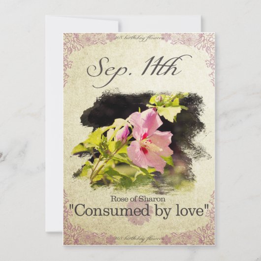 Birthday bloemen op 11 september "Roos van Sharon" Kaart (Voorkant)