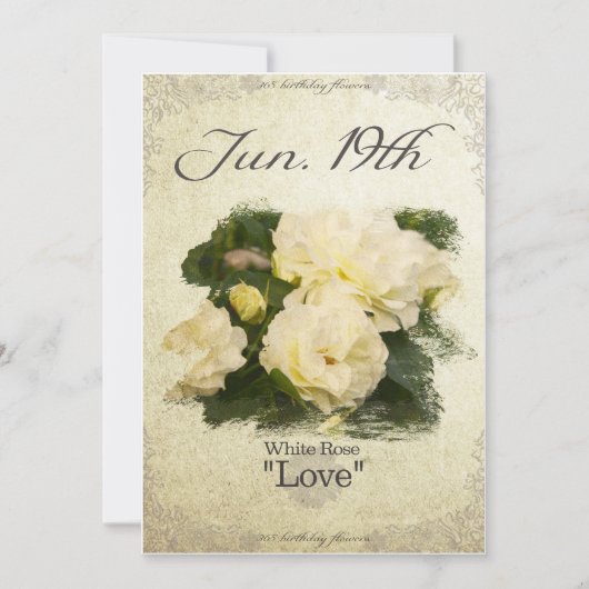 Birthday bloemen op 19 juni "White Rose" Kaart (Voorkant)