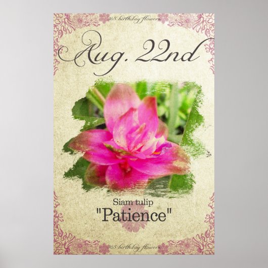 Birthday bloemen op 22 augustus "Siam tulip" Poster (Voorkant)