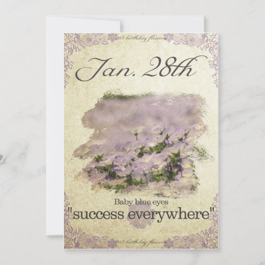 Birthday bloemen op 28 januari "Baby blue eye" Kaart (Voorkant)