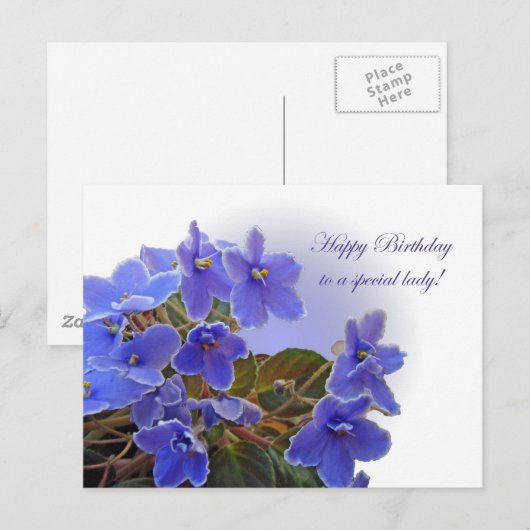 Birthday Blue African Violets Briefkaart (Voorkant / Achterkant)