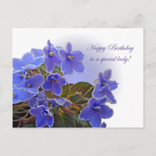 Birthday Blue African Violets Briefkaart