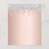 Birthday blush roos Gold Silver Budget Offush Flyer (Achterkant)