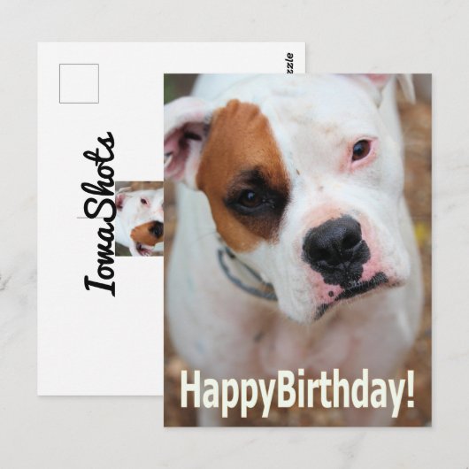 Birthday Boop Kaart (Voorkant / Achterkant)