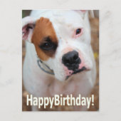 Birthday Boop Kaart (Voorkant)