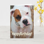 Birthday Boop Kaart (Gele Bloem)